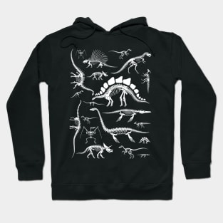 Dinosaurs Collection Hoodie